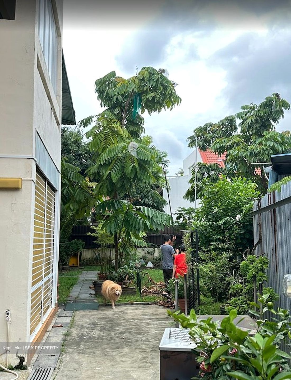 Jalan Sikudangan (D13), Semi-Detached #502999561